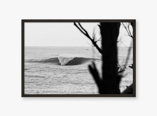 Bommie - Surfing Wall Art