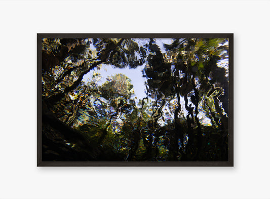 Distort - Abstract Water Print