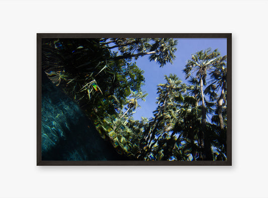 Distort II - Northern Territory