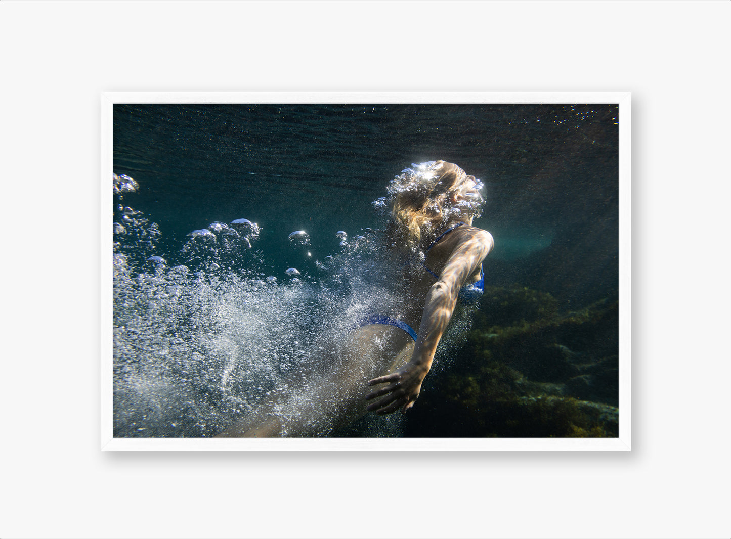 Dive II - Rockpool Western Australia