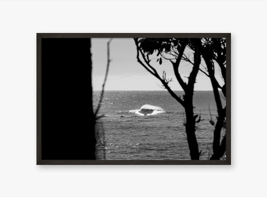 South Coast Bliss - Surf Photography