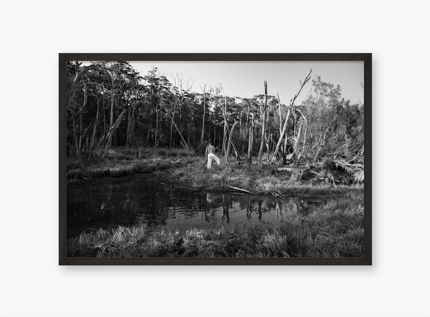 Swamp - Fine Art B&W