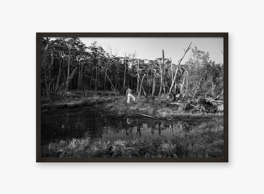 Swamp - Fine Art B&W