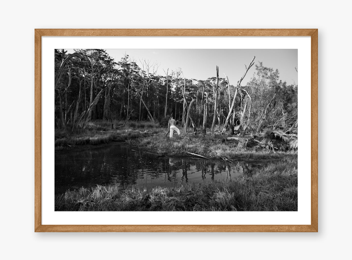 Swamp - Fine Art B&W