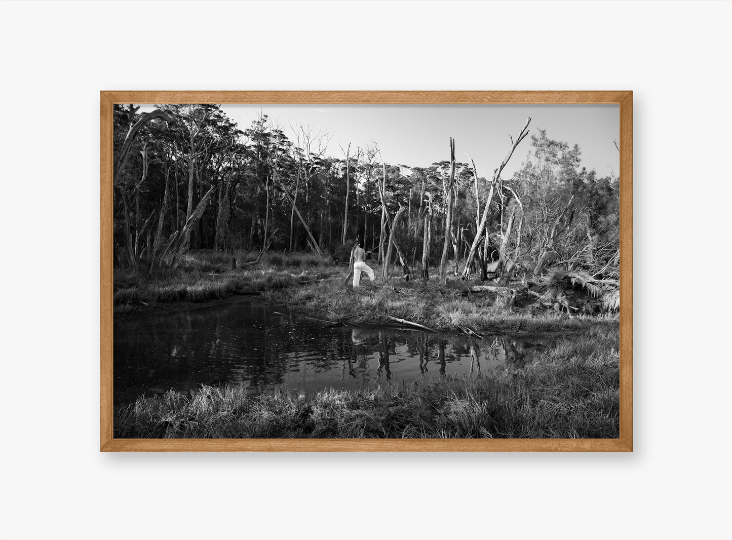 Swamp - Fine Art B&W
