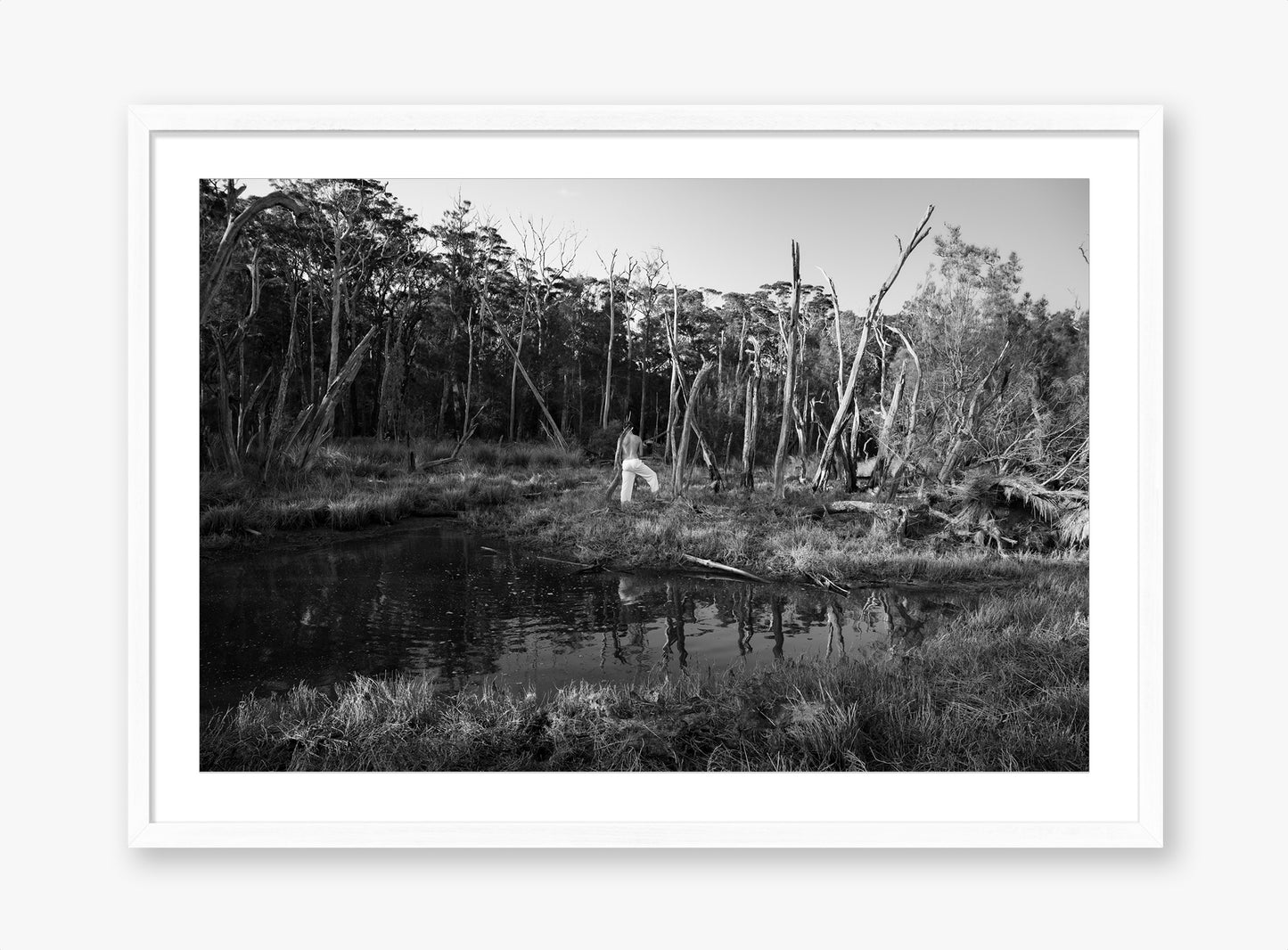 Swamp - Fine Art B&W