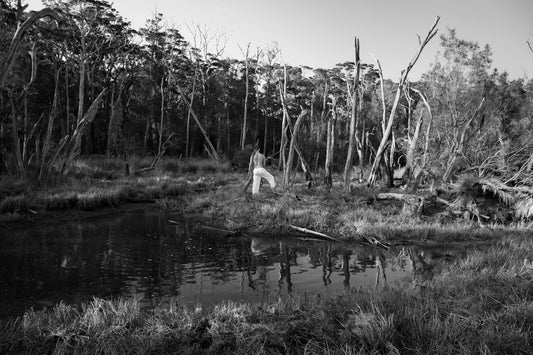 Swamp - Fine Art B&W