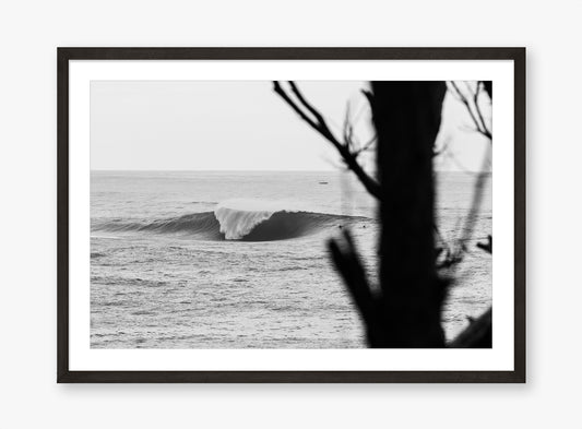 Bommie - Surfing Wall Art