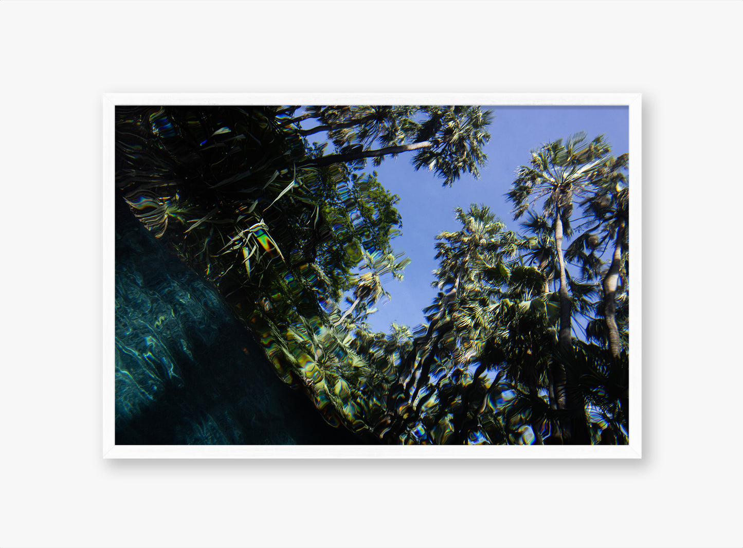 Distort II - Northern Territory