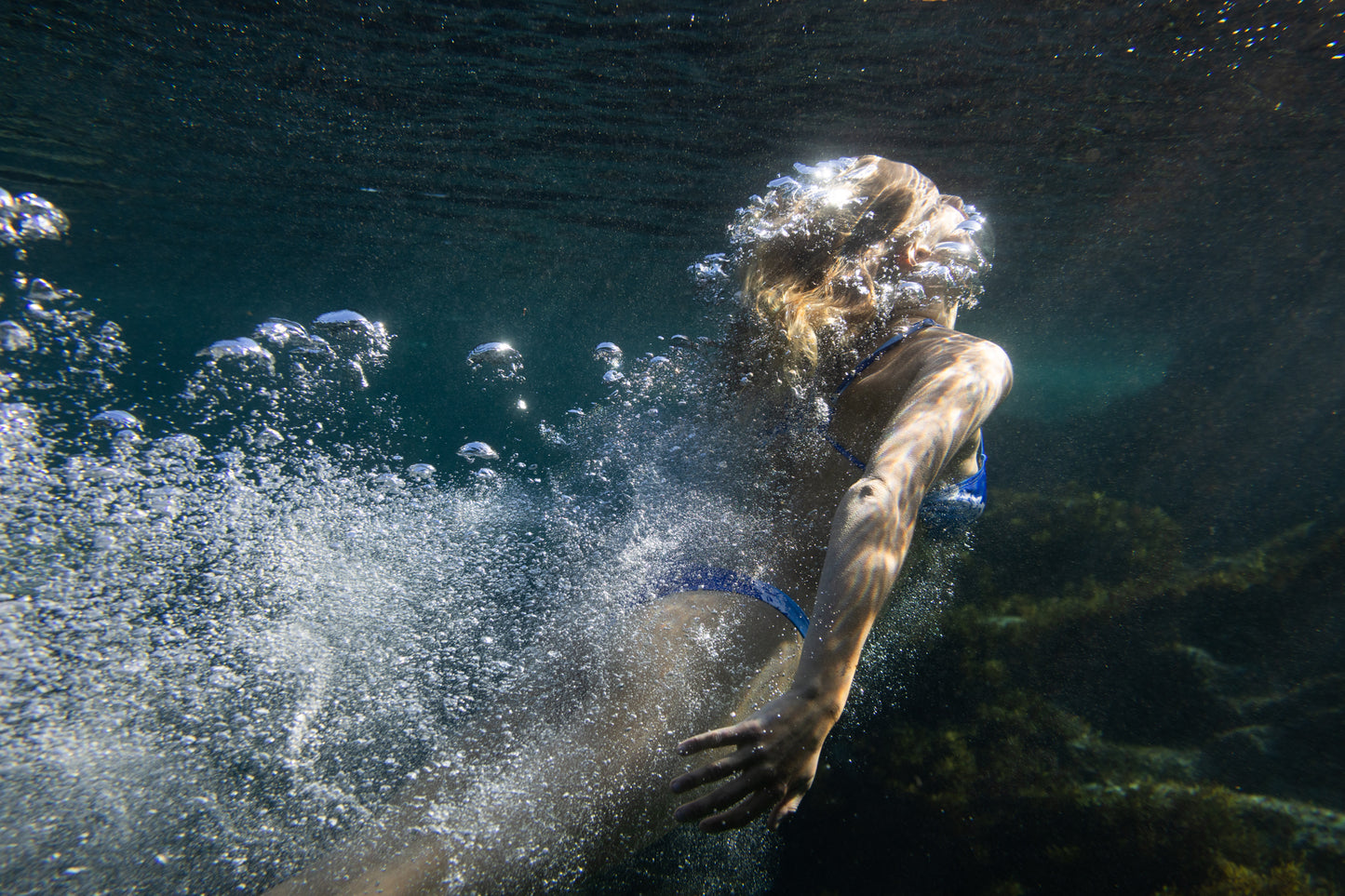 Dive II - Rockpool Western Australia
