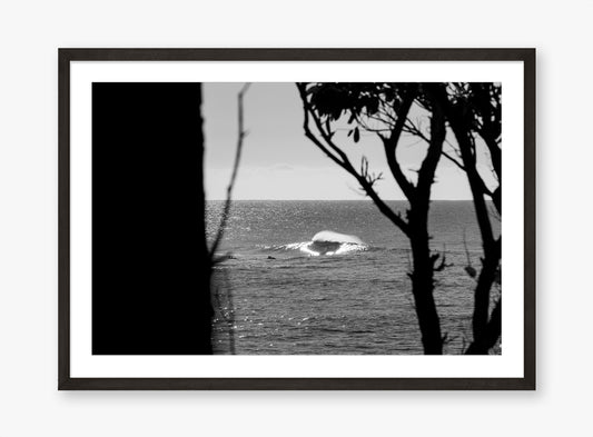 South Coast Bliss - Surf Photography