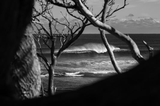 Yallingup Dreaming - Surf Wall Art